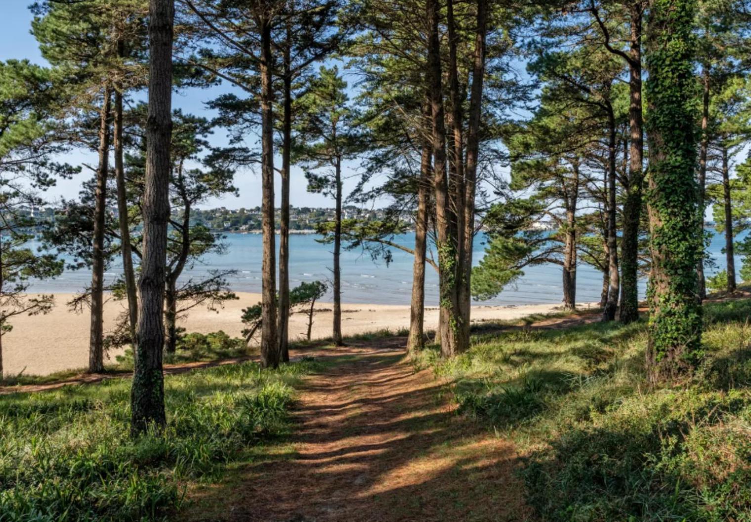 Residence Route De La Corniche Vue Mer Plestin-les-Grèves Екстериор снимка